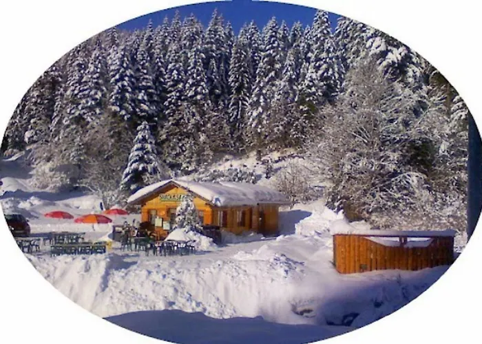 L'ourson Rider Apartmán La Bresse